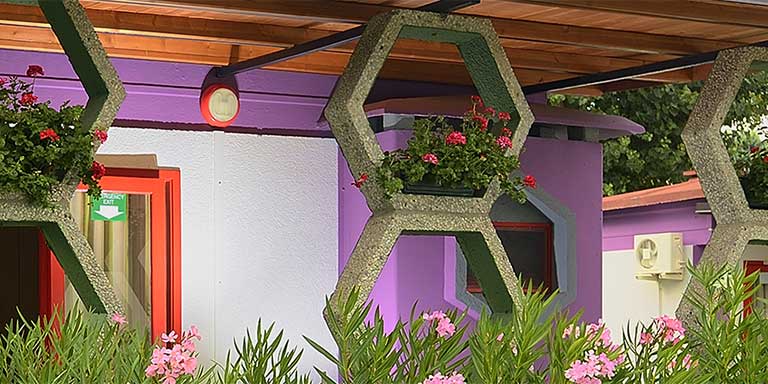 Bungalow surrounded by greenery