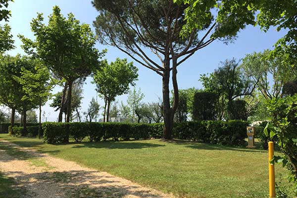 Piazzola Special delimitata da siepi e ombreggiata