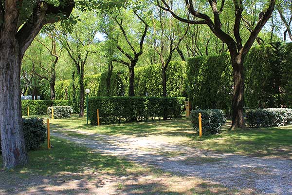 Piazzole ombreggiate delimitate da siepi