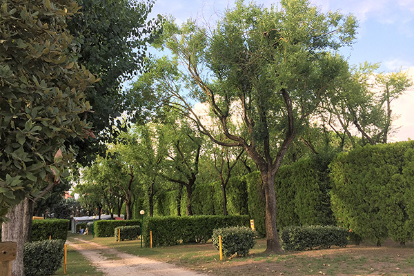 Piazzole ombreggiate delimitate da siepi