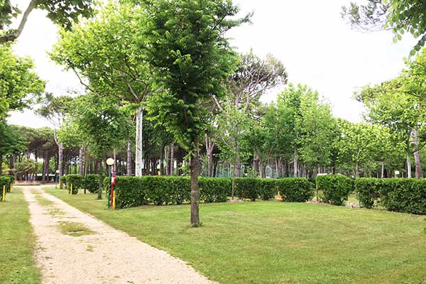 Large pitch delimited by hedges and shaded, electrical connection (CEE socket) 220V 10A, drinking water supply, waste water discharge and TV-Sat connection