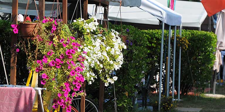 Piazzola per Camper o Roulotte delimitata da siepi