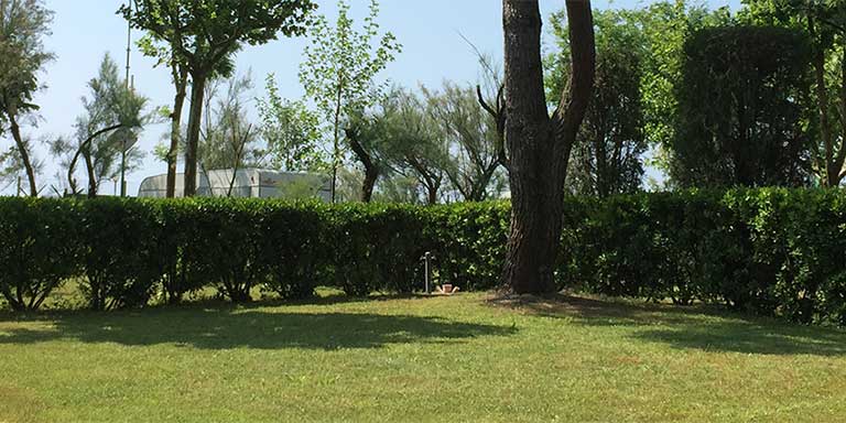 Large pitch delimited by hedges and shaded, electrical connection (CEE socket) 220V 10A, drinking water supply, waste water discharge and TV-Sat connection