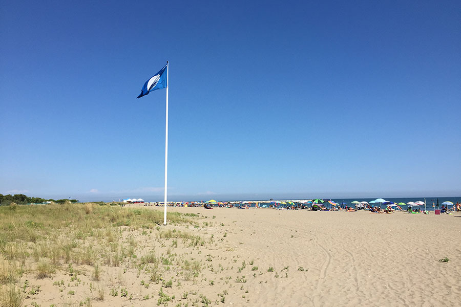 Ragazzo con pinne e maschera sulla riva